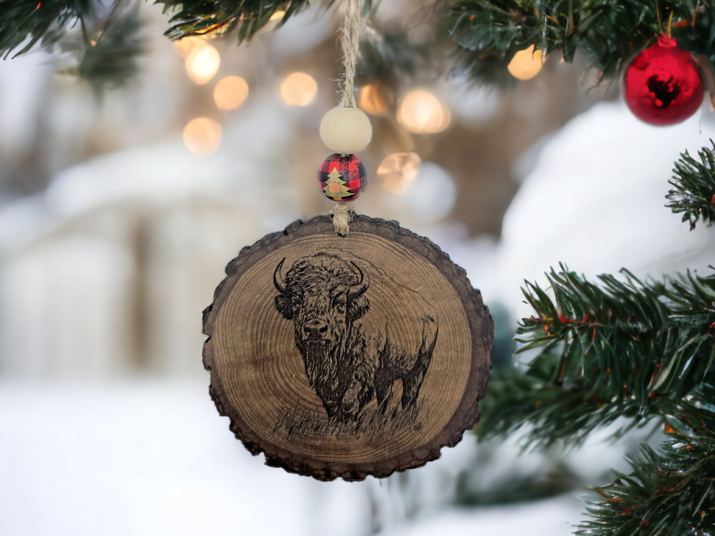 Bison
